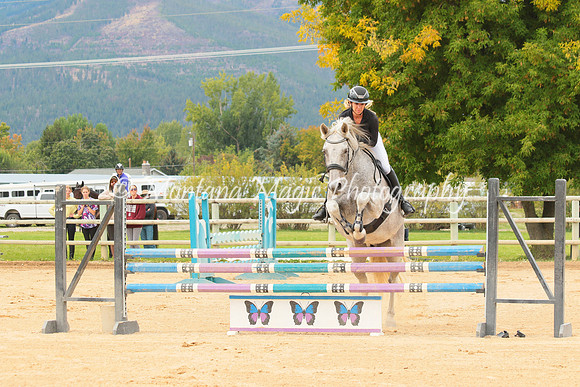 Gavilan Rey_3262