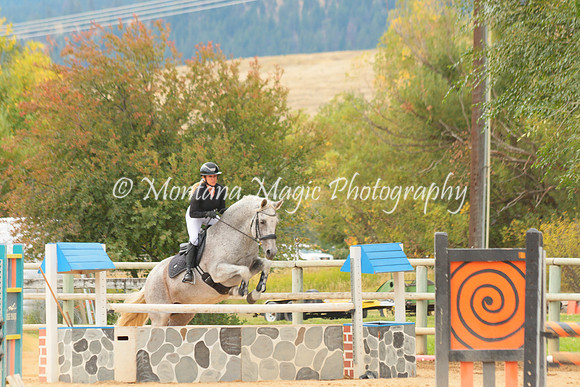 Gavilan Rey_3281
