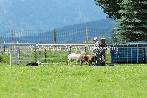 Laoch_0791