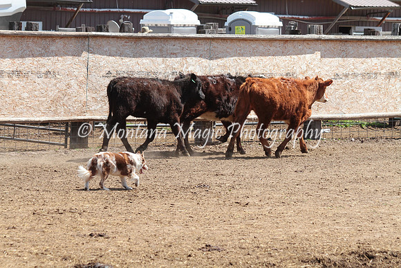 Jolene_0130