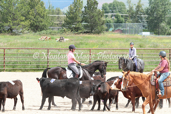 Cattle Clinic Team 3_2326