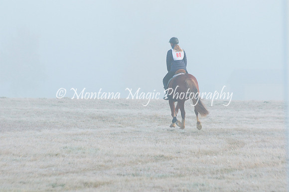Snoop Horse_4408
