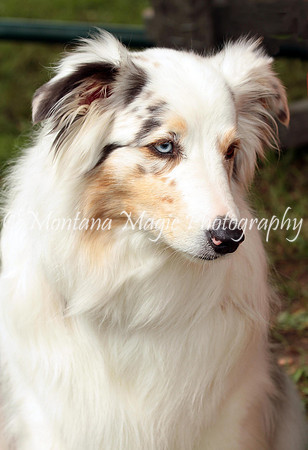 Lola_0239
