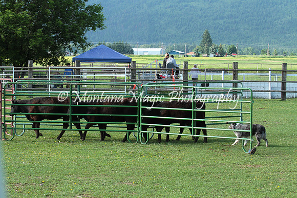 Dually_0993