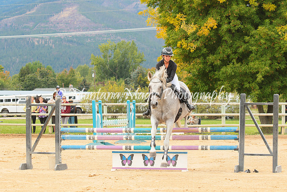 Gavilan Rey_3264