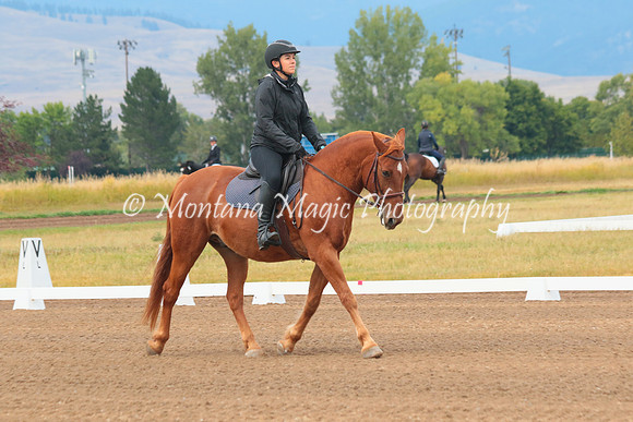 Pippin_2548