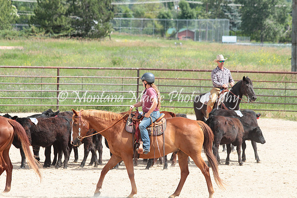 Cattle Clinic Team 3_2312