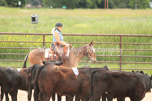 Cattle Clinic Team 4_2401