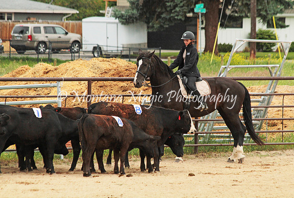 Sorting Team 3_2592