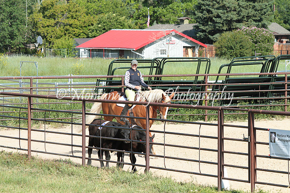 Cattle Clinic Team 1_2235