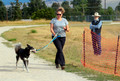 Bitterroot Mushers Bark and Dash Bash