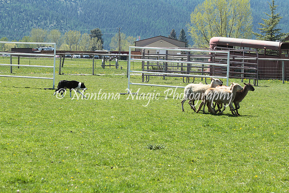 Minnie Pearl_8052