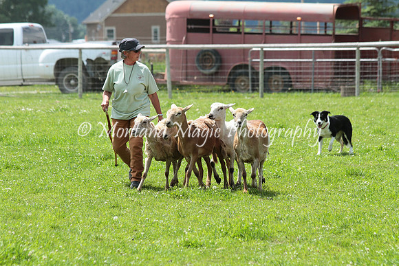Maggie_0795