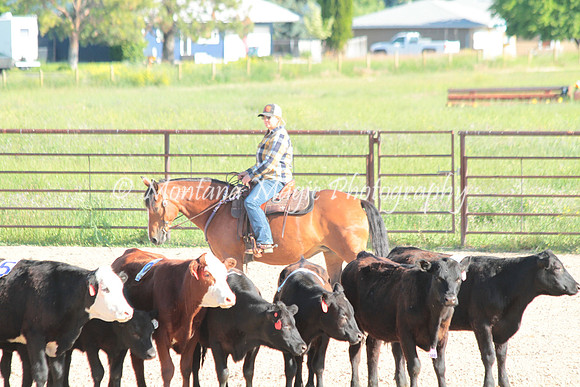 Cattle Clinic Team 1_2191