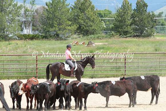 Cattle Clinic Team 3_2314