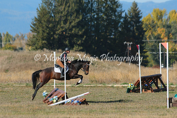 Expert Witness_5394