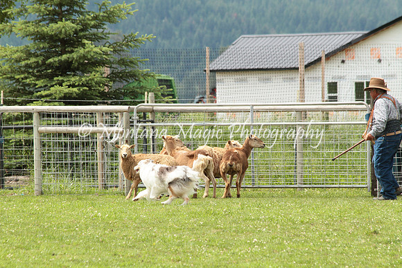 Lola_0286