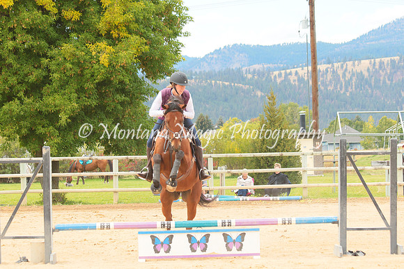 Switchback Creek_3900