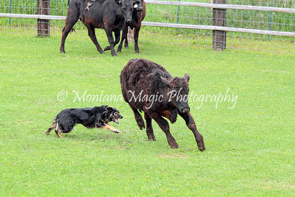 Frankie_0429
