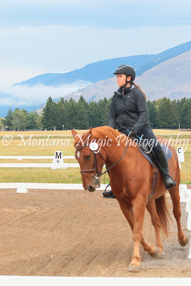 Pippin_2550