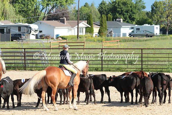 Cattle Clinic Team 1_2208