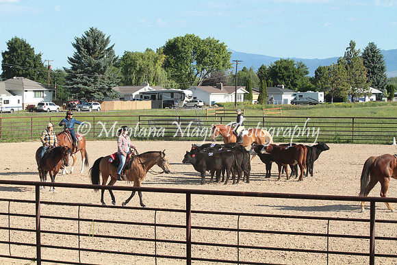 Cattle Clinic Team 1_2199