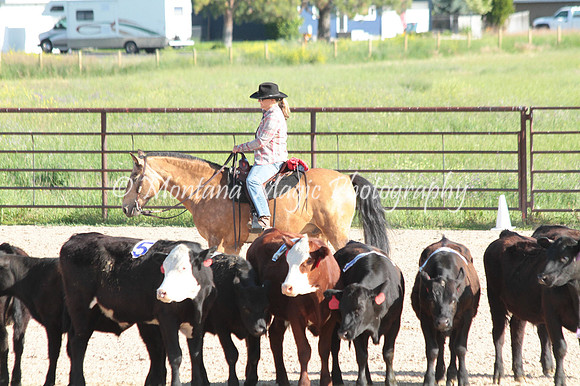 Cattle Clinic Team 1_2190