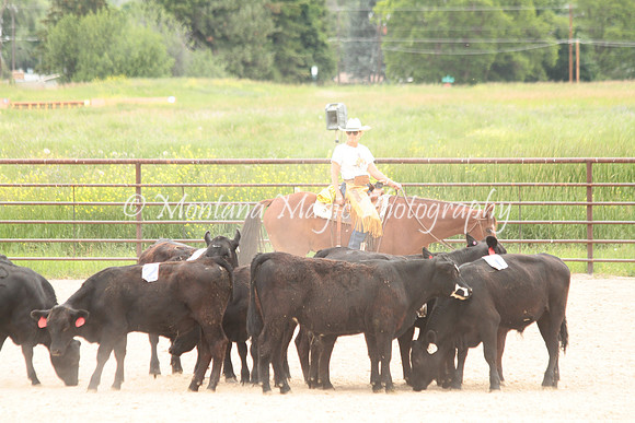 Cattle Clinic Team 4_2384