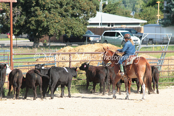 Cattle Clinic Team 1_2219