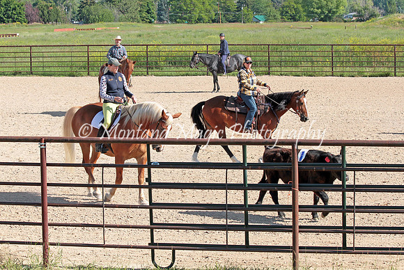 Cattle Clinic Team 1_2236