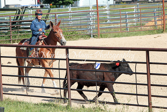 Cattle Clinic Team 1_2224