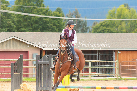 Switchback Creek_3914