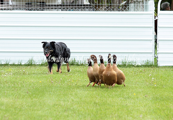 Maggie_9650