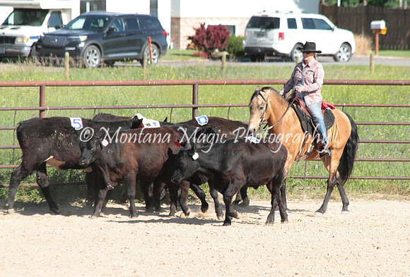 Cattle Clinic Team 1_2226
