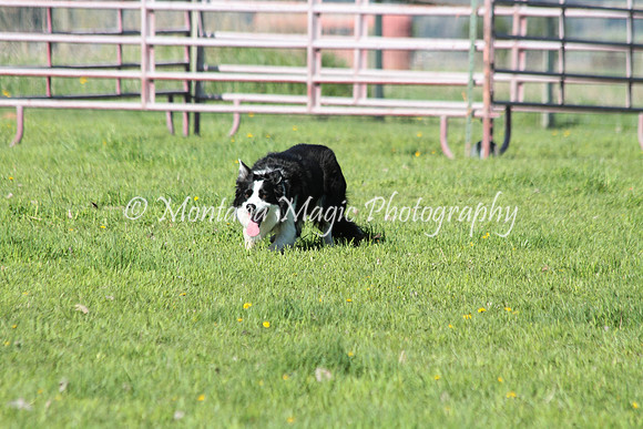 Tippy_8924