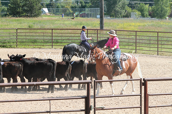 Cattle Clinic Team 2_2263