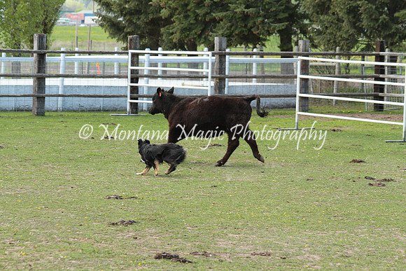 Maggie_0081