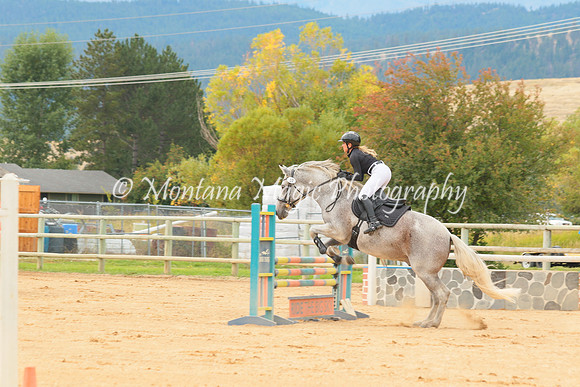 Gavilan Rey_3273