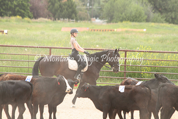 Cattle Clinic Team 4_2381