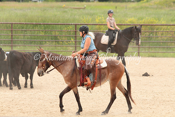 Cattle Clinic Team 4_2404
