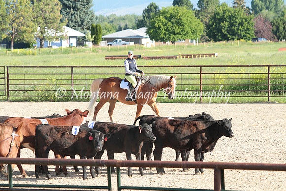 Cattle Clinic Team 1_2181