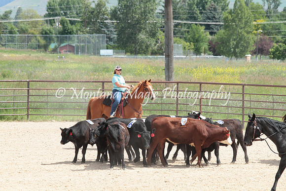 Cattle Clinic Team 3_2310