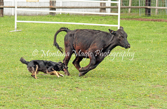 Frankie_0423