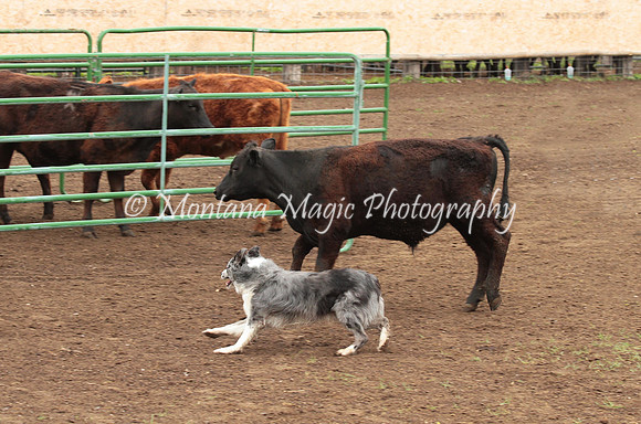 Dually_0399