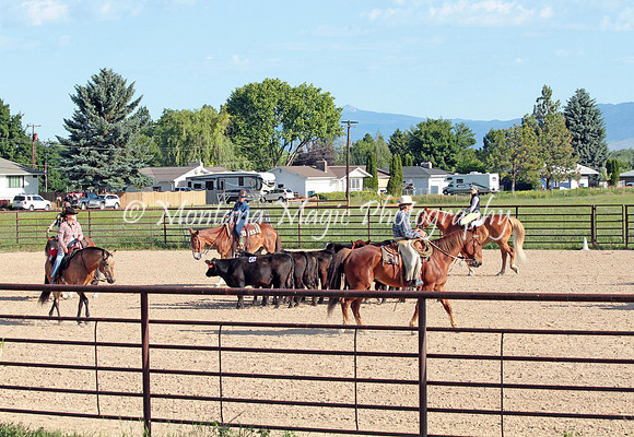 Cattle Clinic Team 1_2200