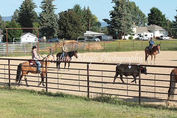 Cattle Clinic Team 1_2180