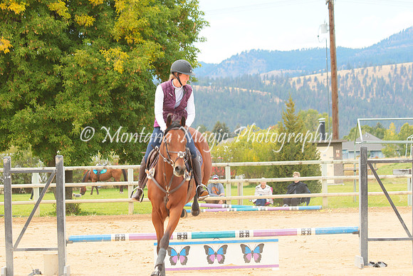 Switchback Creek_3903