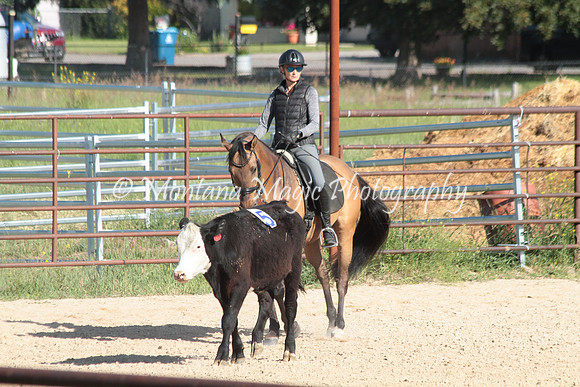 Cattle Clinic Team 1_2213