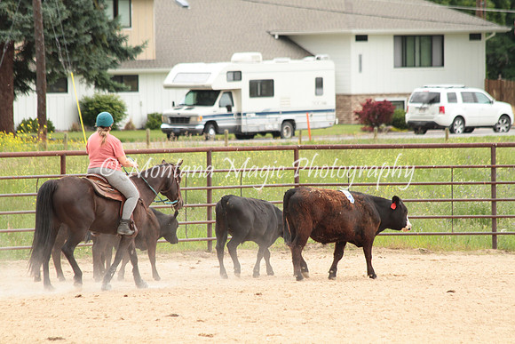 Cattle Clinic Team 4_2425