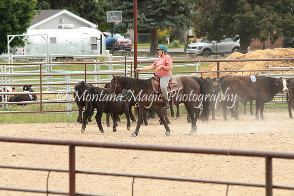 Cattle Clinic Team 4_2419